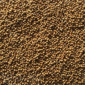 Herbs Spices Barks And Seeds: Coriander Seeds 20gm