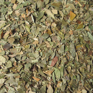 G L: Ginkgo Leaf 20gm