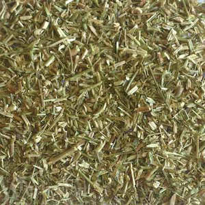 Hyssop 20gm