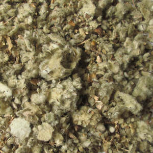 M Q: Mullein Leaf 10gm