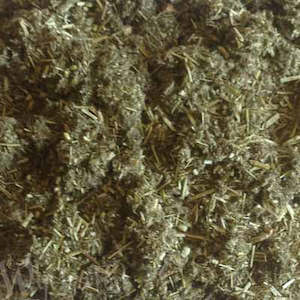 Mugwort 20gm