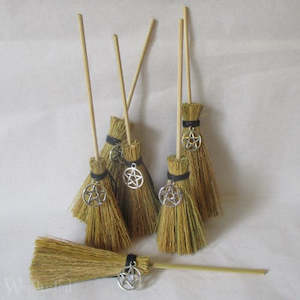 Teeny Witches Broom