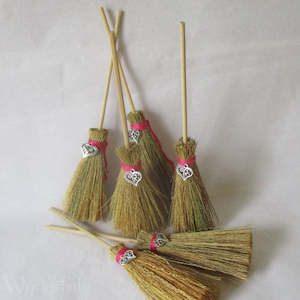 Teeny Witches Love Broom