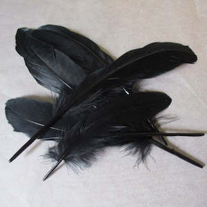 Hearth And Home: Feathers Black pk 5