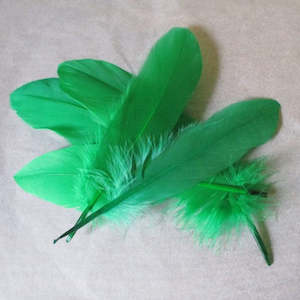 The Crafty Witch: Feathers Green pk 5
