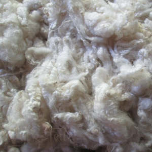 The Crafty Witch: Lambs Wool Corriedale - 100gm