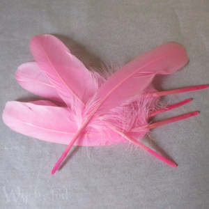 The Crafty Witch: Feathers Pink pk 5