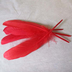 The Crafty Witch: Feathers Red pk 5