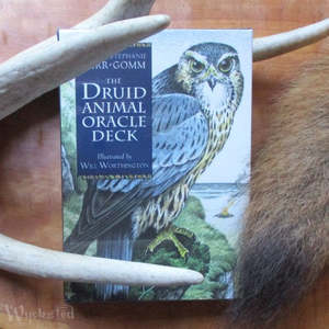 The Druid Animal Oracle Deck