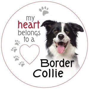 Border Collie Magnet