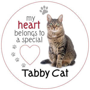 Familiars: Tabby Cat Magnet
