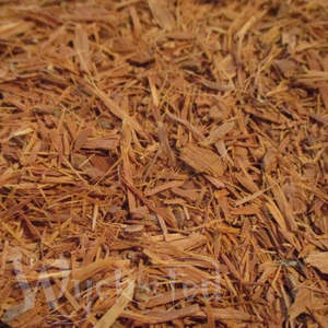 Herbs Spices Barks And Seeds: Catuaba Bark 20gm