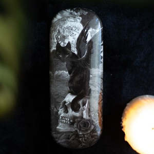 Hearth And Home: Nine Lives of Poe Glasses Case