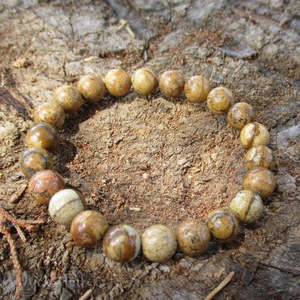 Jewellery: Brown Jasper Bracelet