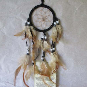 Art And Charts: Dreamcatcher Mini Small Black