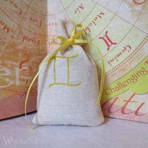 Gemini: Gemini Zodiac Pouch