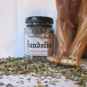 Dandelion Apothecary Herb Jar