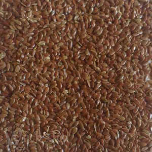 Aquarius: Flaxseeds, Whole 50gm