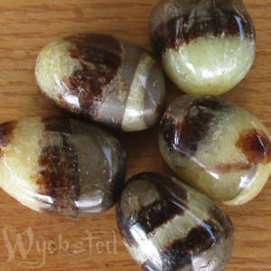 Tumbled N Z: Septarian 5-6 grams