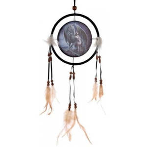 Dreamcatcher  Protector of Magick