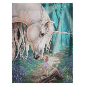 Unicorn and Fairy Whispers Canvas Print