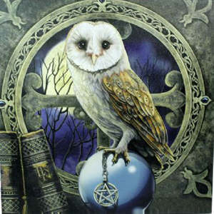 Canvas Print Spell Keeper Owl - Clearance Stuff