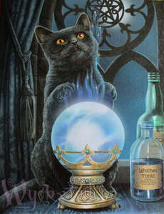 Witches Apprentice Canvas