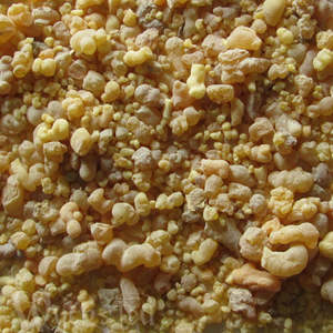 Herbs D F: Frankincense Gum Resin 20gm