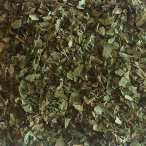 Seasons And Sabbats: Lungwort 10gm