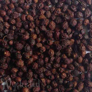 Seasons And Sabbats: Hawthorn Berrys 50gm