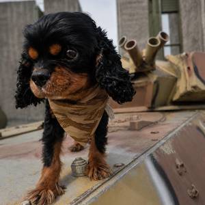 Dust Trail Dog Bandana - Clip-On Outdoor Pet Bandana