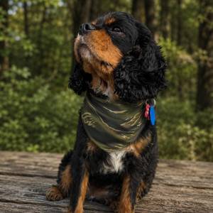 Wild Ridge Dog Bandana – Clip-On Outdoor Pet Bandana