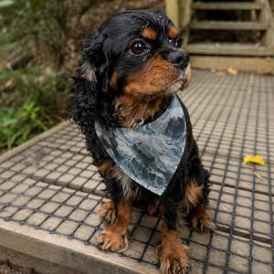 Glacier Flow Dog Bandana - Clip-On Pet Bandana