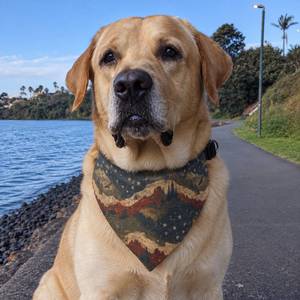 Outdoor Dog Accessories: Mountain Stars Clip-On Dog Bandana