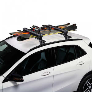 Summer: Cruz Ski Carrier