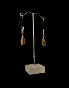 Amber Swan Earrings
