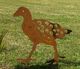 Pukeko – Large - Xstream Profiles