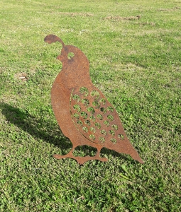 Products: Quail – Large - Xstream Profiles