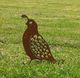 Quail – Small - Xstream Profiles