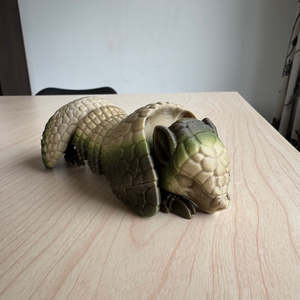 Sensory Section: 3D Printed Armadillo