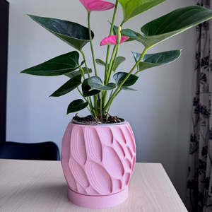 Ringo Planter Pot -plant not included