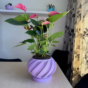 3d Prints 1: Krato Planter Pot Pastel Purple