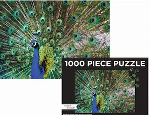Kids Corner: Puzzle Landscape Peacock