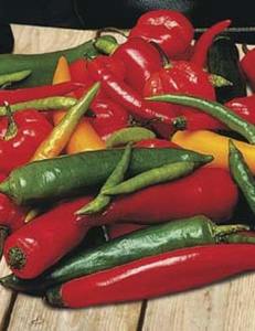 CHILLI SHAKE MIX - Yardlands