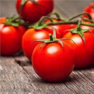 RUSSIAN RED TOMATO - Yardlands