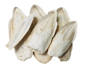 CUTTLEFISH - Yardlands