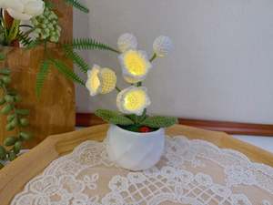 Popular Restocks: Lily