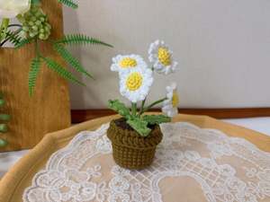White Daisy Pot