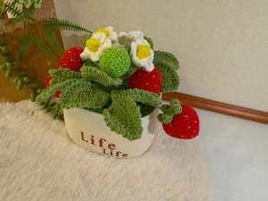 Potted Strawberries