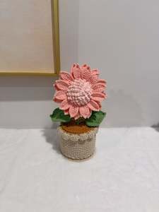 Sunny Bloom Pot